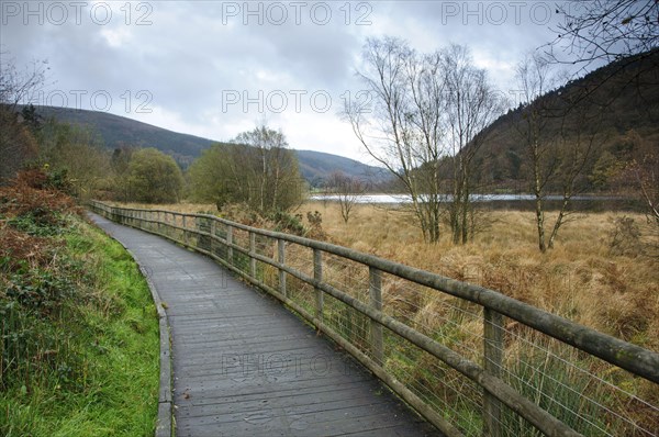 Boardwalk at edge of lake