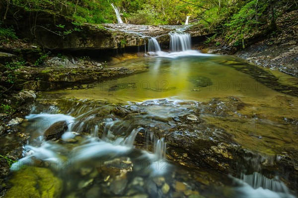 View of river habitat in the forest