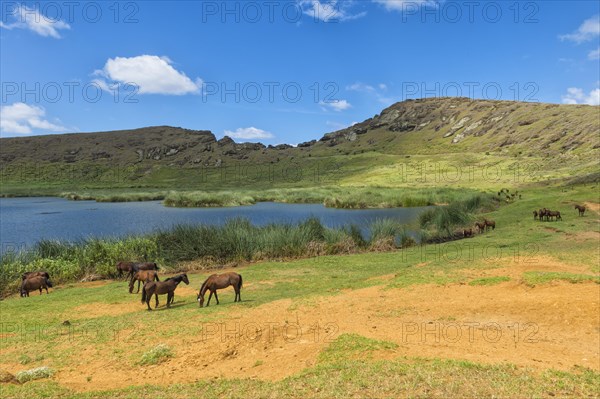 Rano Raraku Crater Lake