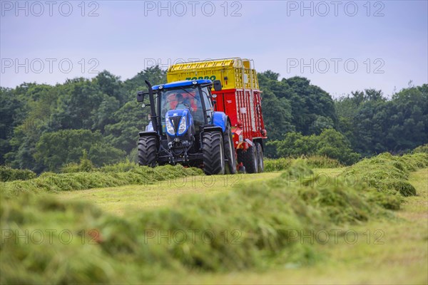 Tractor with forage wagon picking up cut grass