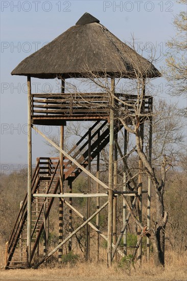 Safari Lookout Tower