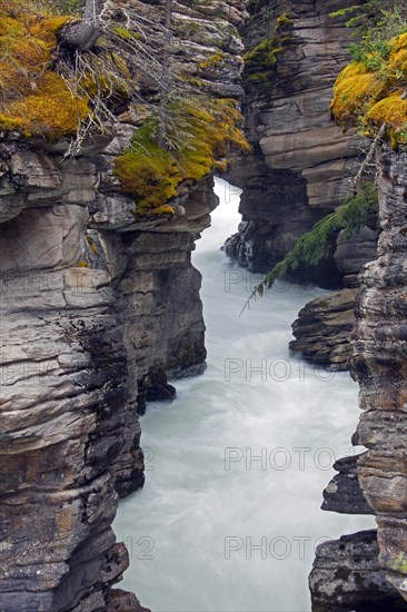 Athabasca Falls of the Athabasca River in Jasper National Park