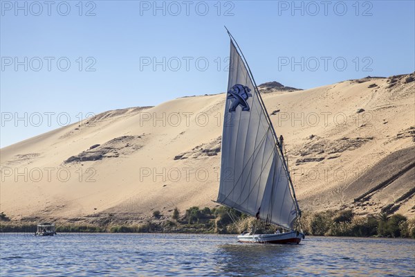 Felucca