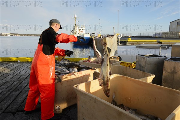 Commercial fishing