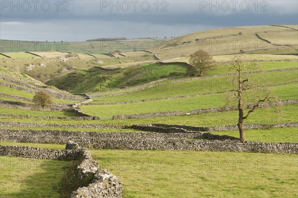 View of dry stone walls and pastures