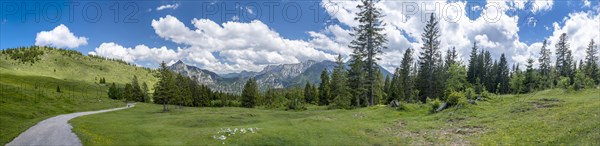 Postalm in the Salzkammergut