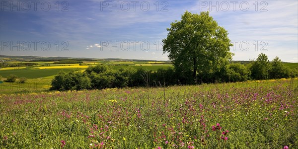 Cultural landscape in the Rhine-Lahn district