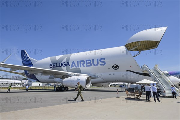 Airbus Beluga XL Transporter