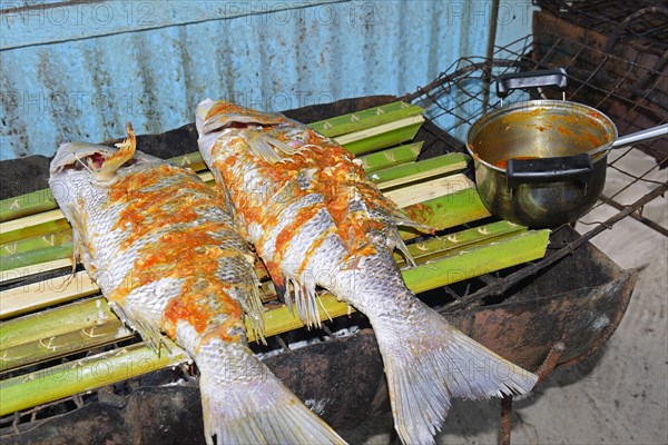 Creole-style snapper marinated on a charcoal grill