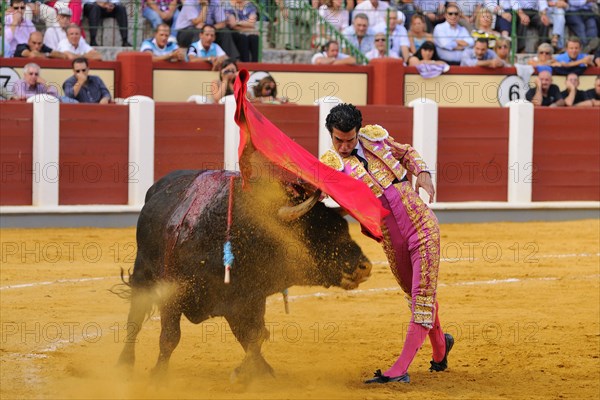 Bullfight