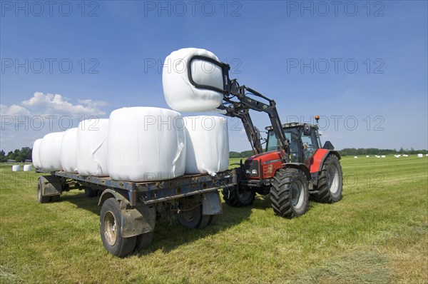 Plastic wrapped round silage bales stacked on trailer with mechanical loader