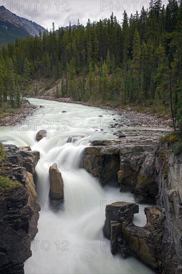 Sunwapta Falls