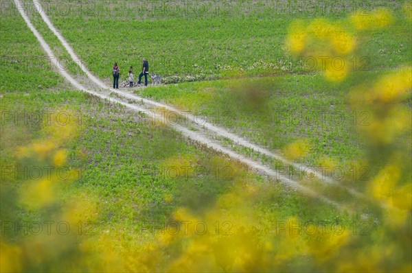 People walking dog on lead on track through farmland