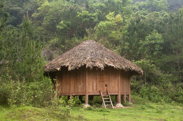 Thatched hut in montane tropical forest