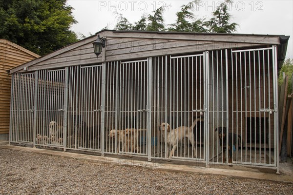 Working dog kennel