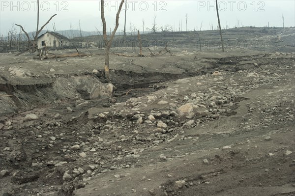 Riverbed and field covered with ash