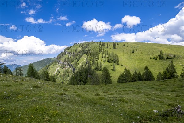 Postalm in the Salzkammergut