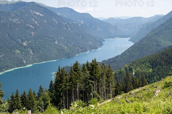 View from the Naggler Alm to the Weissensee