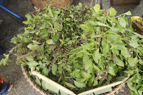 Thai Basil