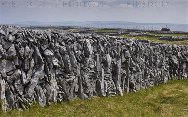 Old limestone drystone wall with small fields