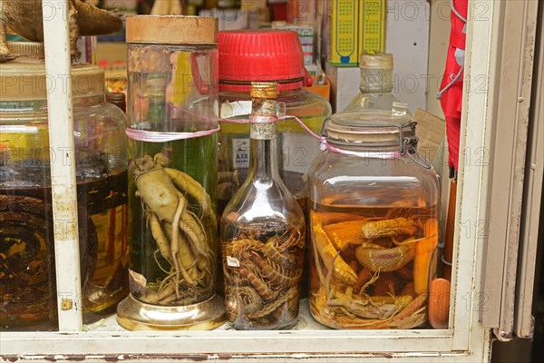 White ginseng in Chinese pharmacy