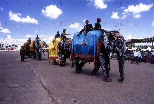 Caparisoned and Painted elephants