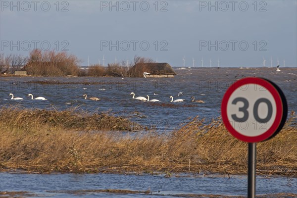 Flooded coastal road and coastal marshland after the surge