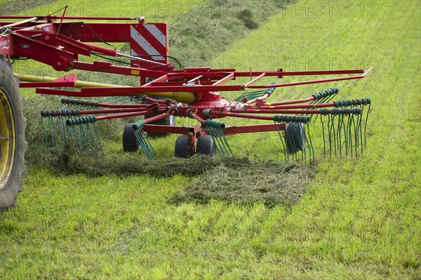 Silage harvest