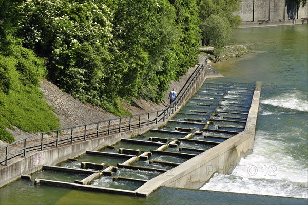 Fish ladder