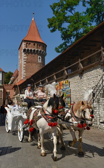 Horse-drawn carriage