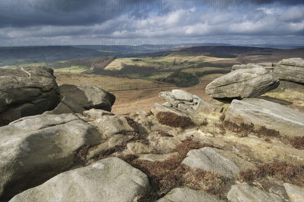 View of upland habitat and Gritstone Edge