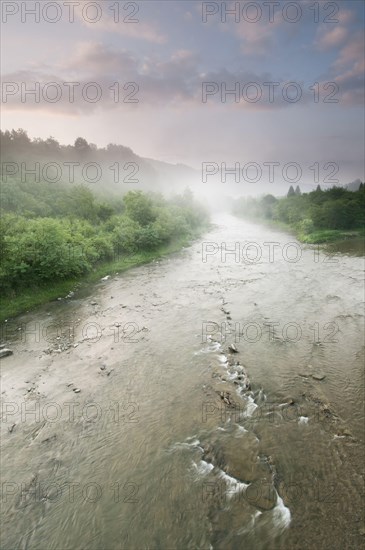 View of river and forest at sunrise