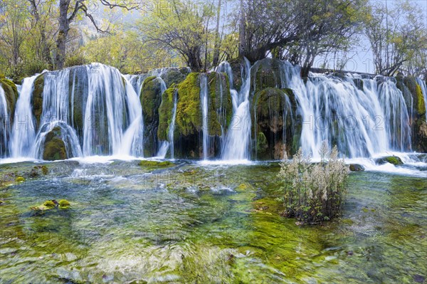 Arrow Bamboo Lake Waterfalls