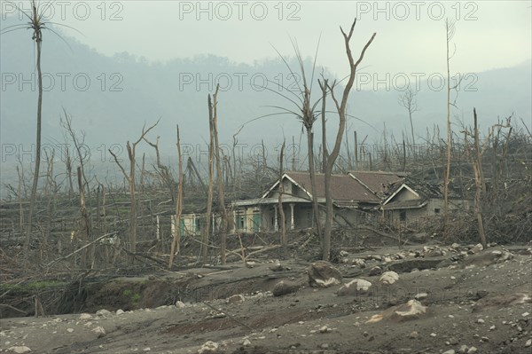 Ash-covered fields