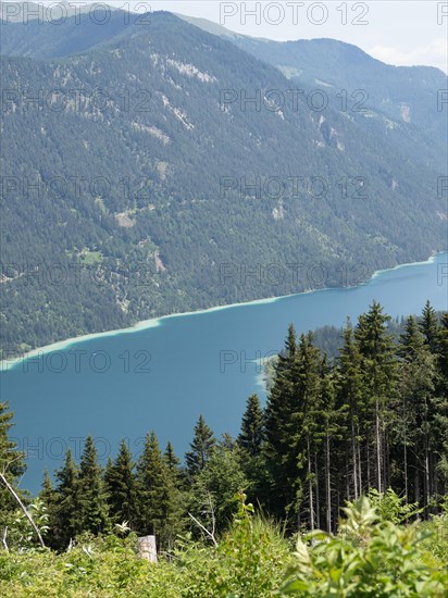 View from the Naggler Alm to the Weissensee