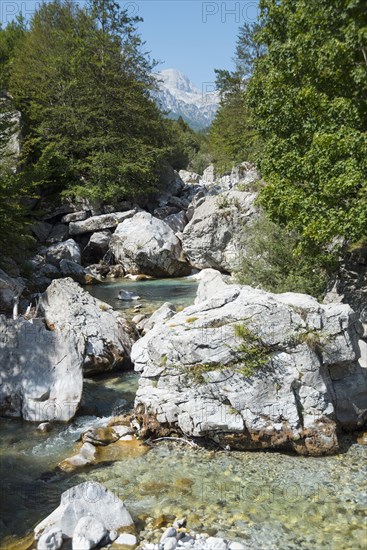 Valbona River