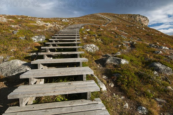 Steps leading to summit of fell