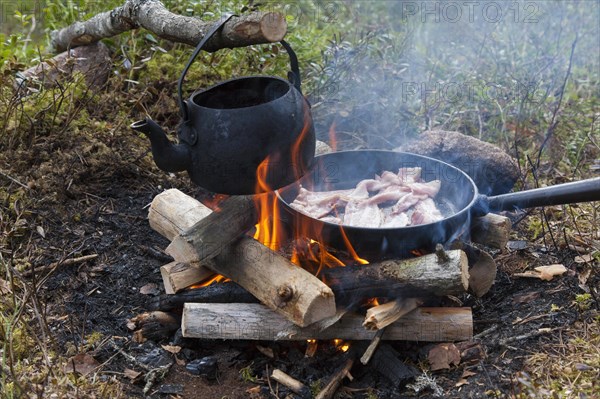 Blackened tin kettle boiling water and pan cooking bacon over flames from campfire