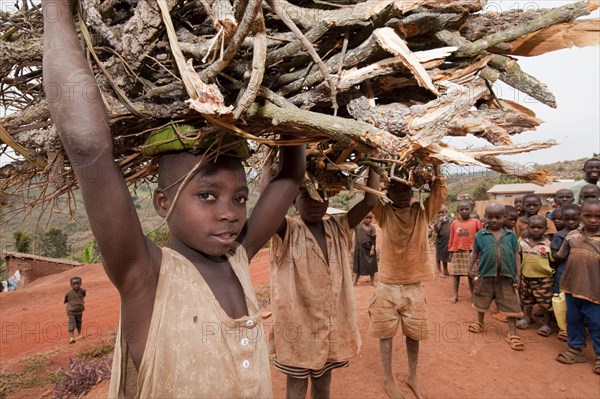 Boys carrying firewood on heads stand on dusty village road