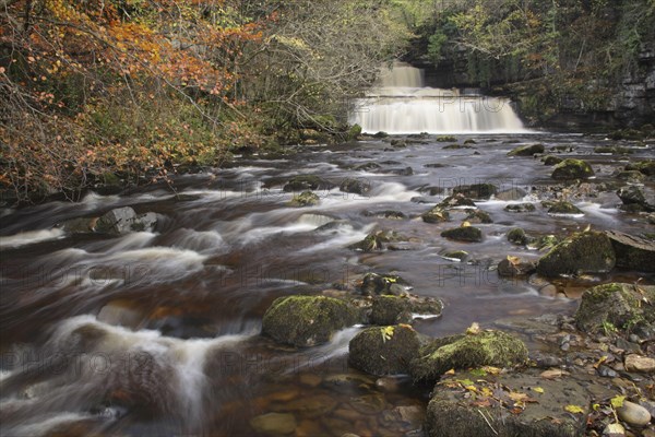 View of waterfall