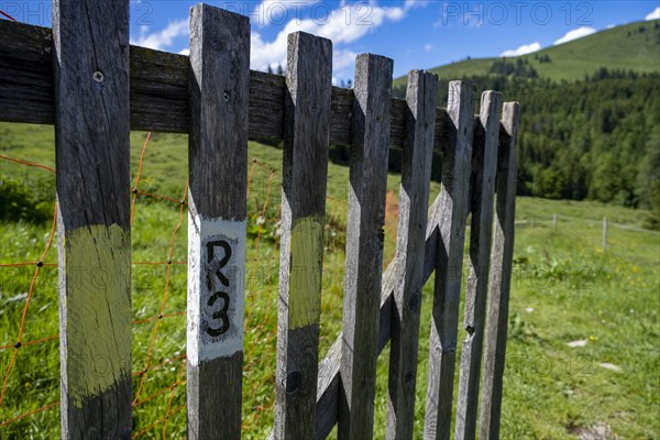 Coloured marker for hiking trail R3 on the Postalm in the Salzkammergut