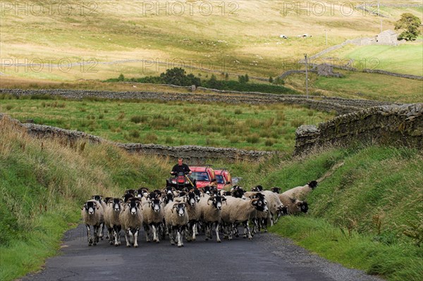 Farmer on quad bike