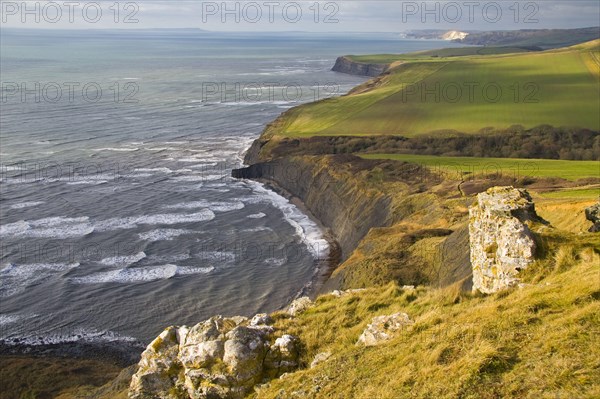 View of coastline with farmland and rough sea from high cliff