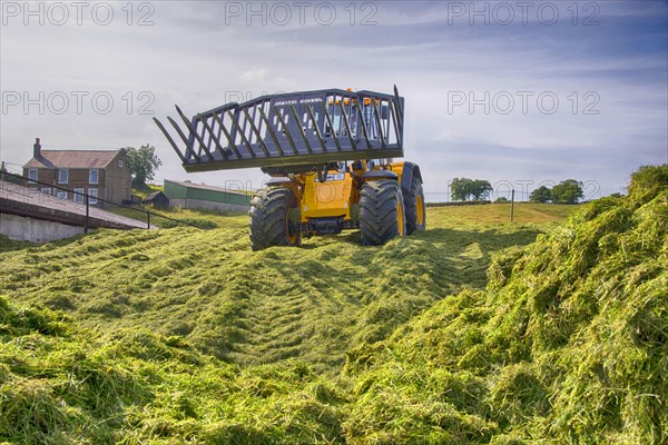 JCB loader compacting grass silage clamp