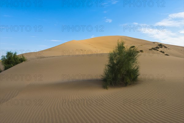 Singing Dunes