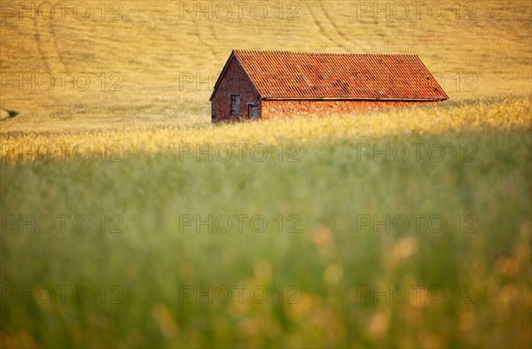 Red stone built barn in a hay meadow