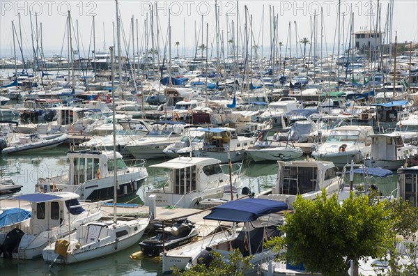 Boats moored at floating docks in harbour