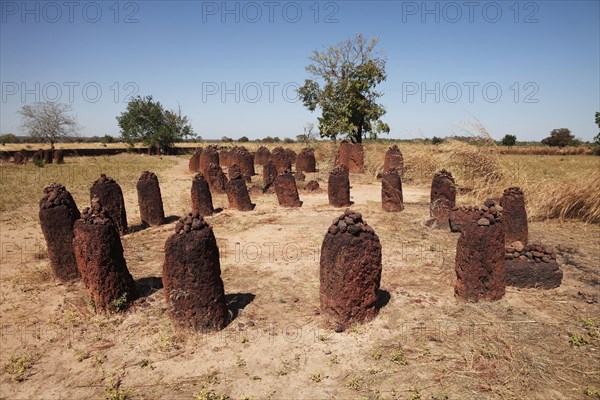 Stones marking burial site