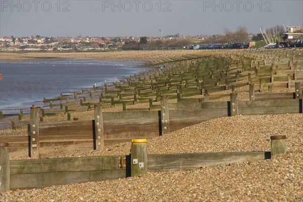 Groin Part of the sea defences at Whitstable in Kent
