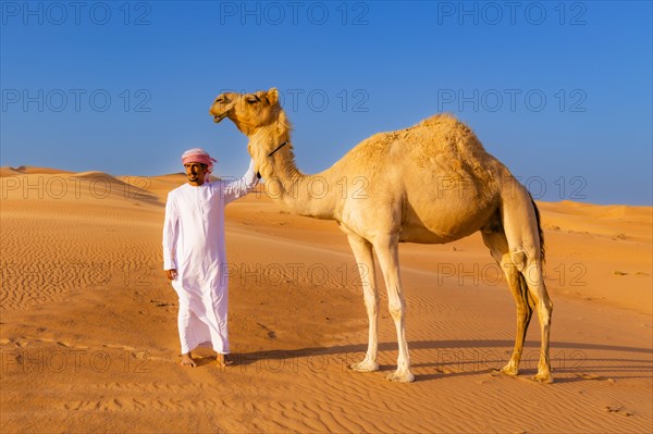 Camel